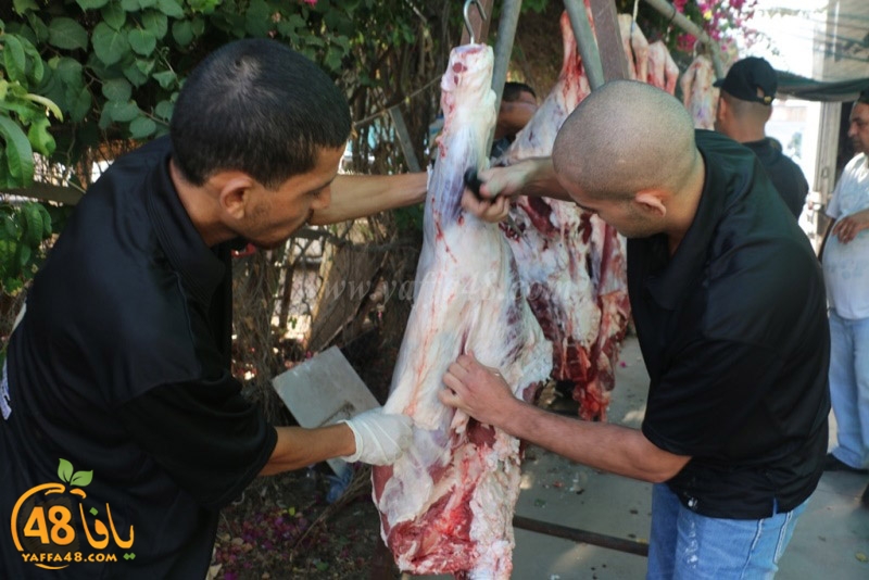 lod8om ada73y (75).JPG